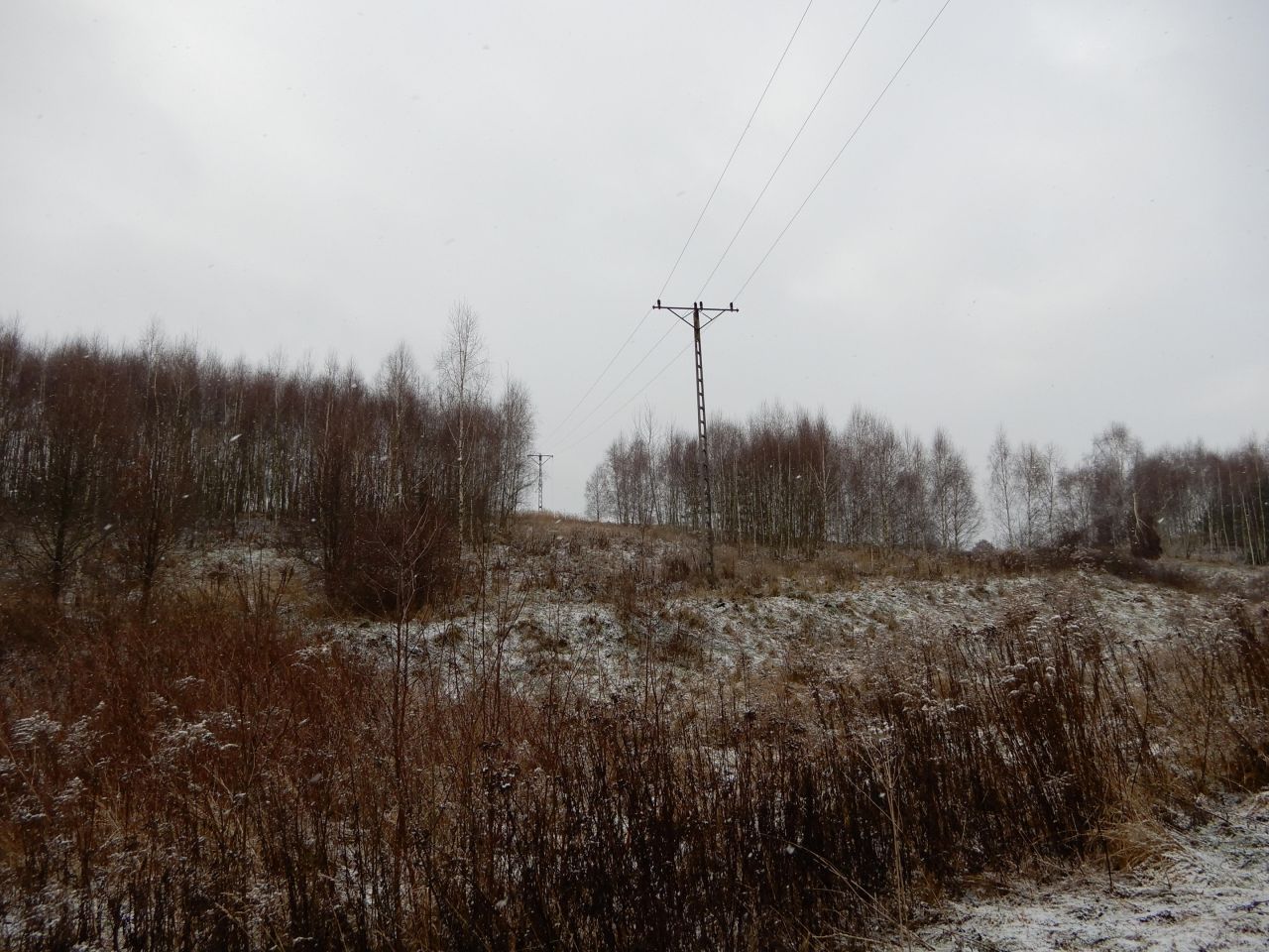 Działka rolna Pławna Dolna. Zdjęcie 3