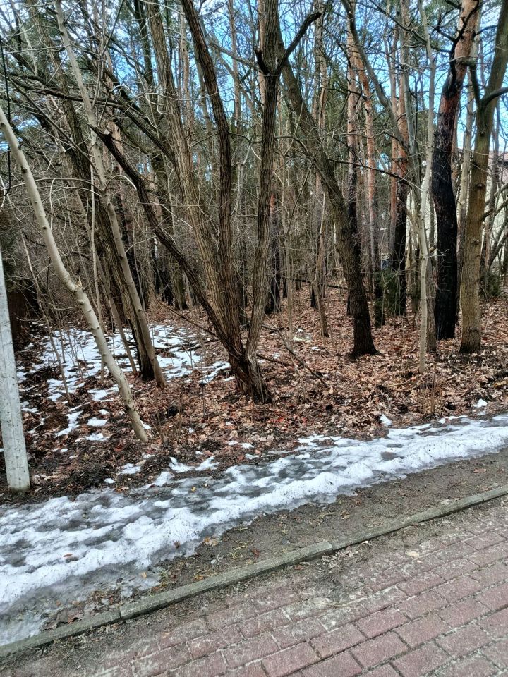 Działka leśna Legionowo, ul. Aleja Legionów. Zdjęcie 11