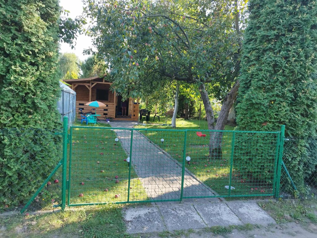Działka rod Łask Kolumna, ul. Przedwiośnie 11. Zdjęcie 7