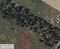 Działka rolno-budowlana Zamek Bierzgłowski. Zdjęcie 1