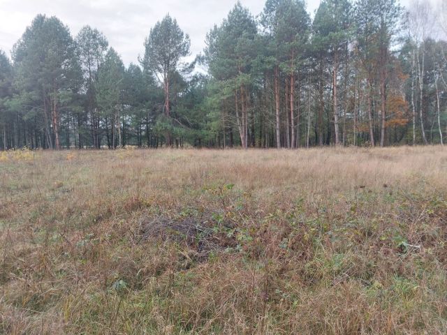 Działka budowlana Stany. Zdjęcie 1
