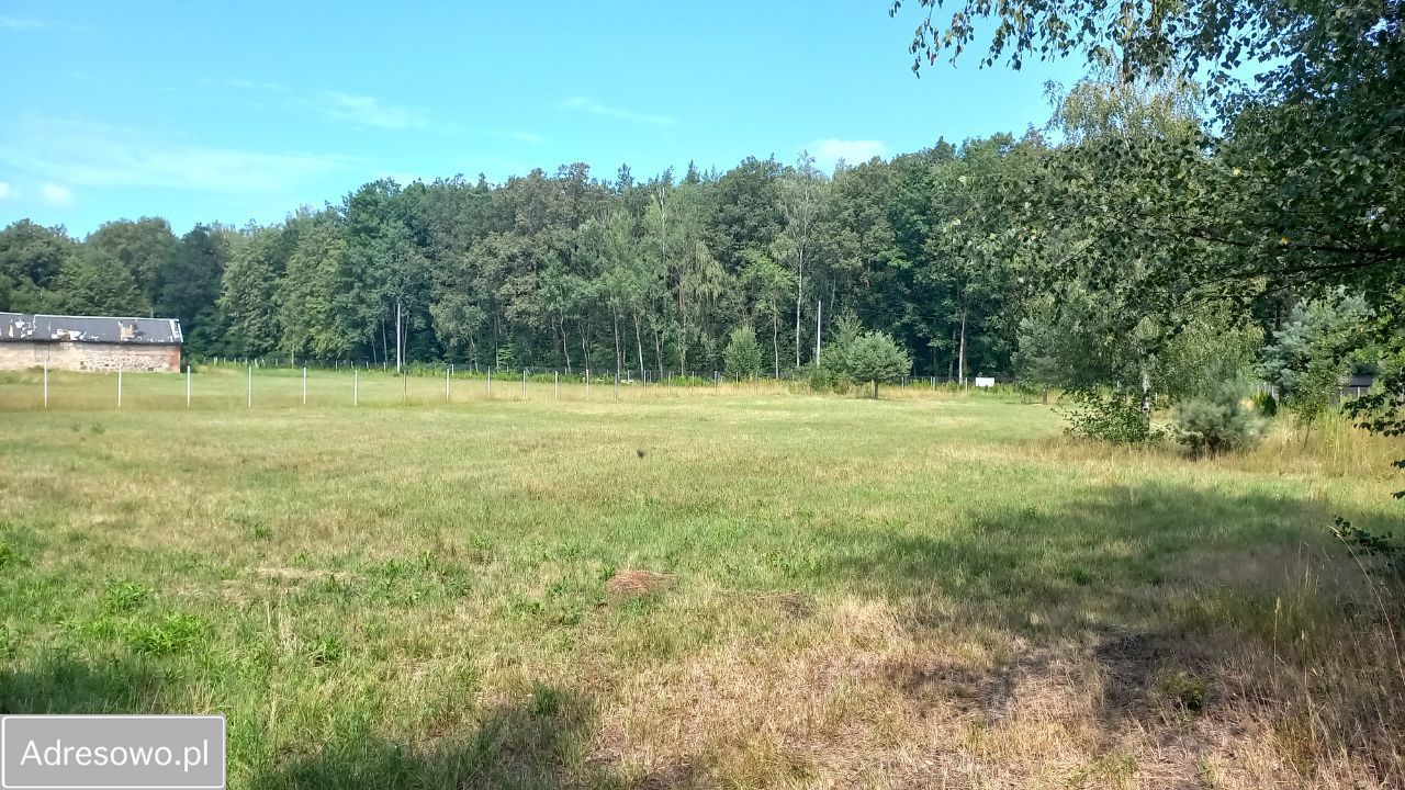 Działka budowlana Leśne Odpadki. Zdjęcie 5