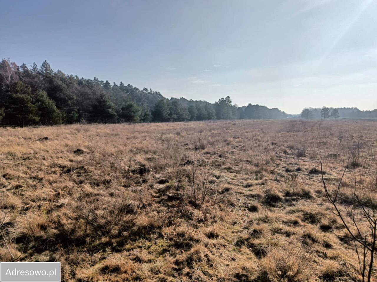 Działka rolna Olszewnica Nowa, ul. Spacerowa. Zdjęcie 10