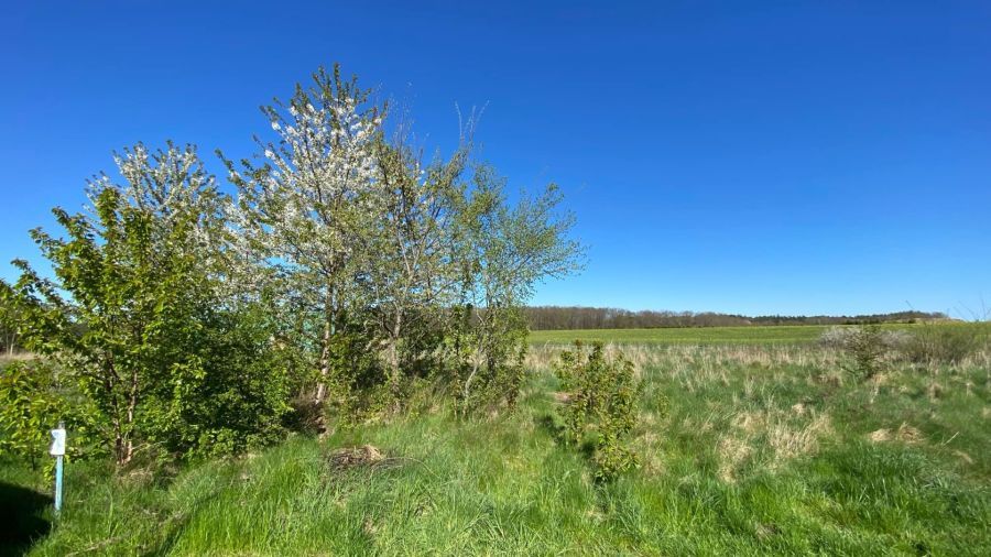 Działka rolna Mrzezino, ul. Dębowa