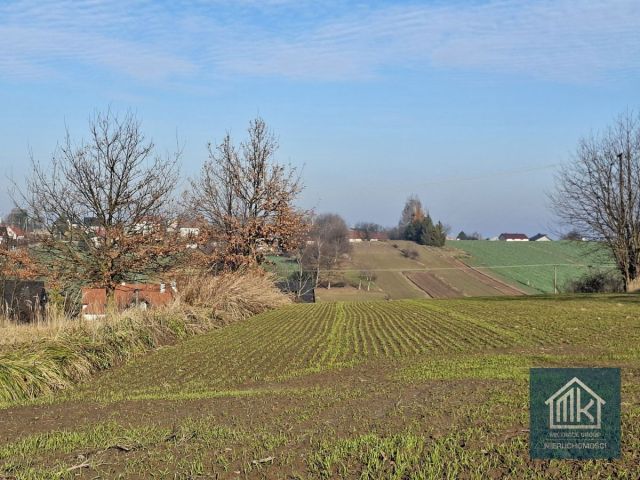 Działka budowlana Szarów. Zdjęcie 1