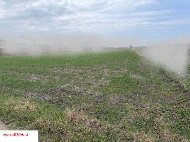 Działka rolna Żaby. Zdjęcie 4