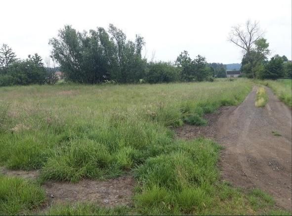 Działka budowlana Chmielno. Zdjęcie 1