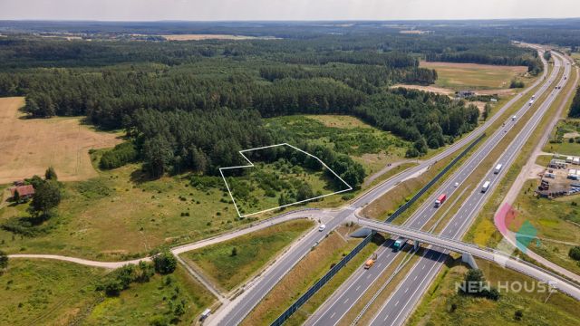 Działka Jemiołowo. Zdjęcie 3