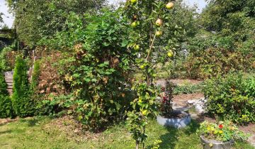 Działka rod Gliwice Stare Gliwice, ul. Kozłowska