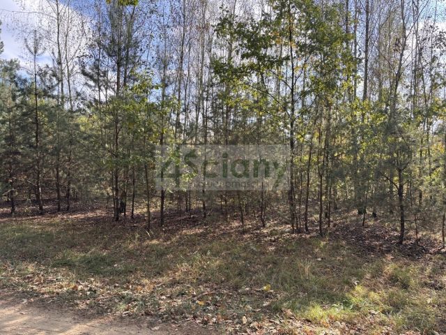 Działka budowlana Dębina. Zdjęcie 2