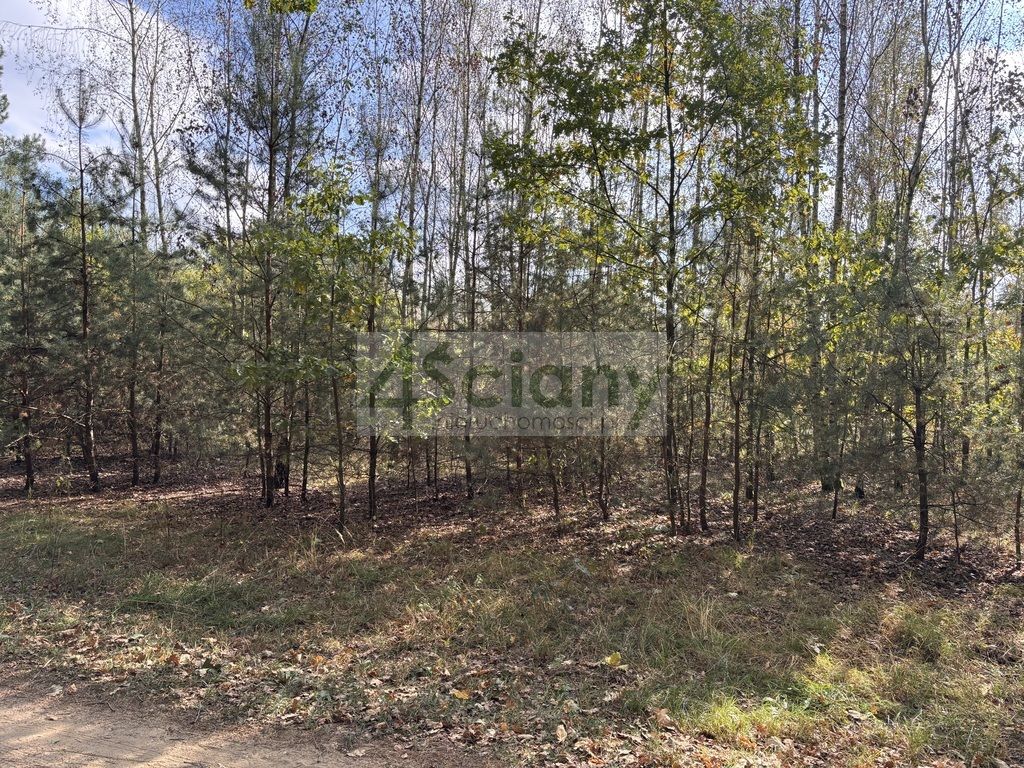 Działka budowlana Dębina. Zdjęcie 2