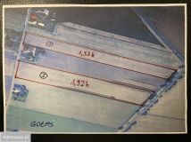 Działka rolna Gołas. Zdjęcie 3