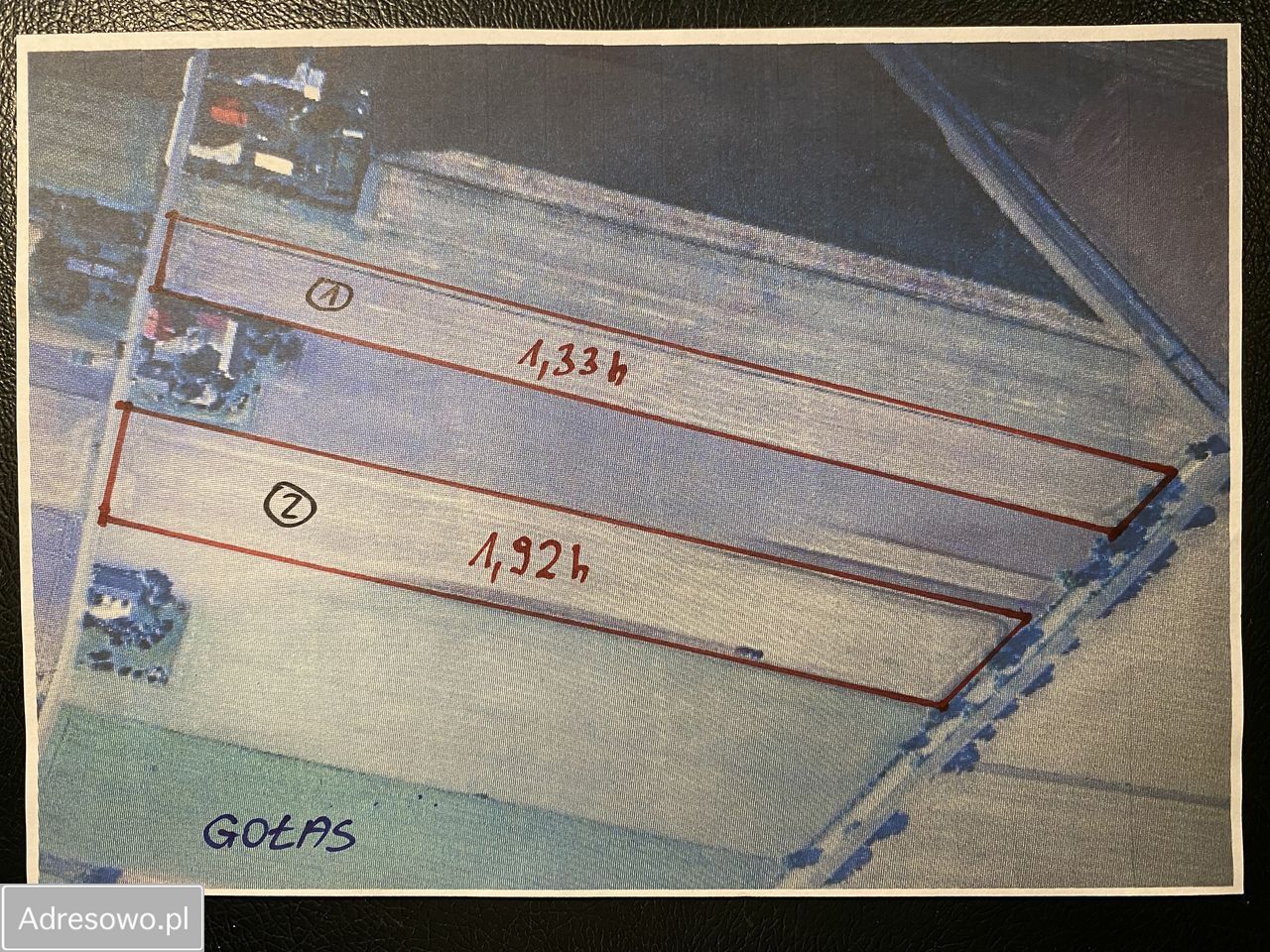 Działka rolna Gołas. Zdjęcie 4