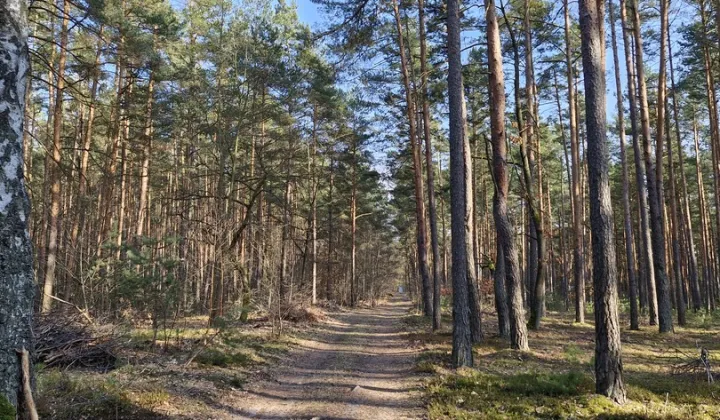 Działka rekreacyjna Osiedle Wilga