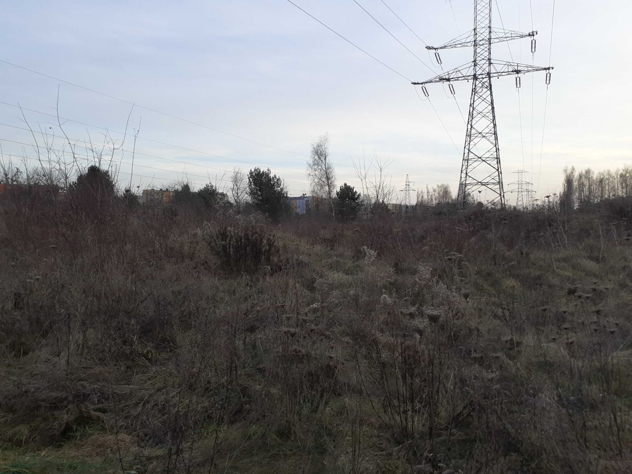 Działka rolna Zgierz. Zdjęcie 3