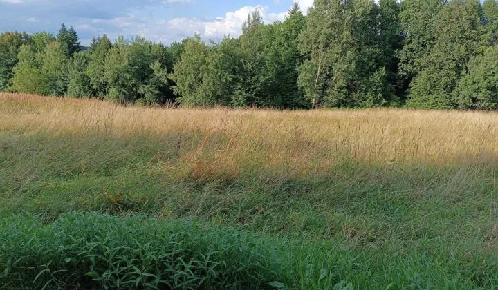 Działka budowlana Głogoczów