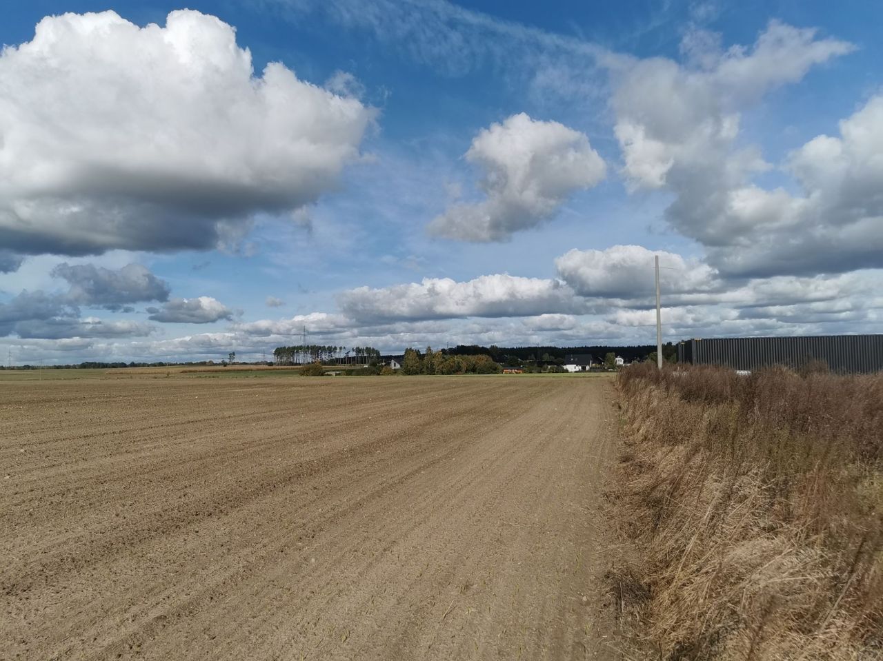 Działka inwestycyjna Blękwit. Zdjęcie 7