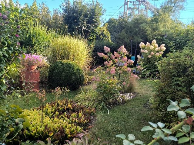 Działka rod Brzeg. Zdjęcie 1