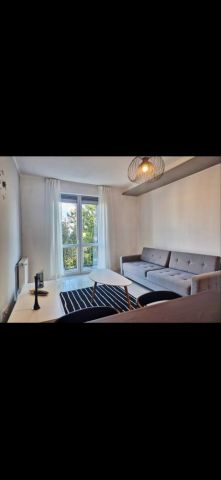 Mieszkanie 2-pokojowe Ostrów Wielkopolski, ul. Sobieskiego. Zdjęcie 1