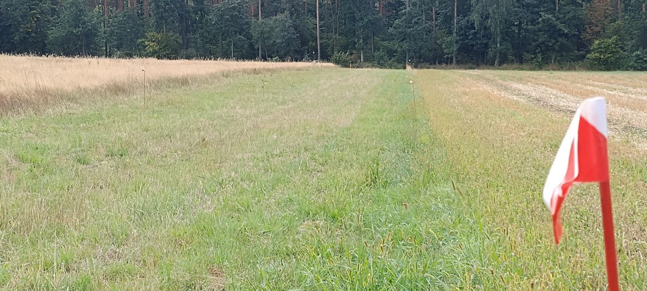 Działka budowlana Porządzie. Zdjęcie 4