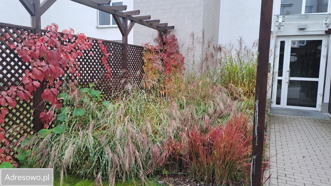 Mieszkanie 4-pokojowe Warszawa Wilanów, ul. Jara. Zdjęcie 11