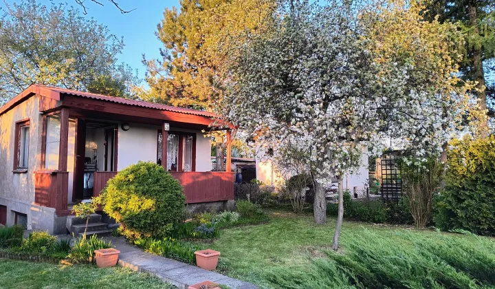 Działka rod Sosnowiec Niwka, ul. Portowa