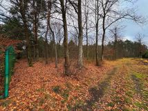 Działka Ruda. Zdjęcie 1