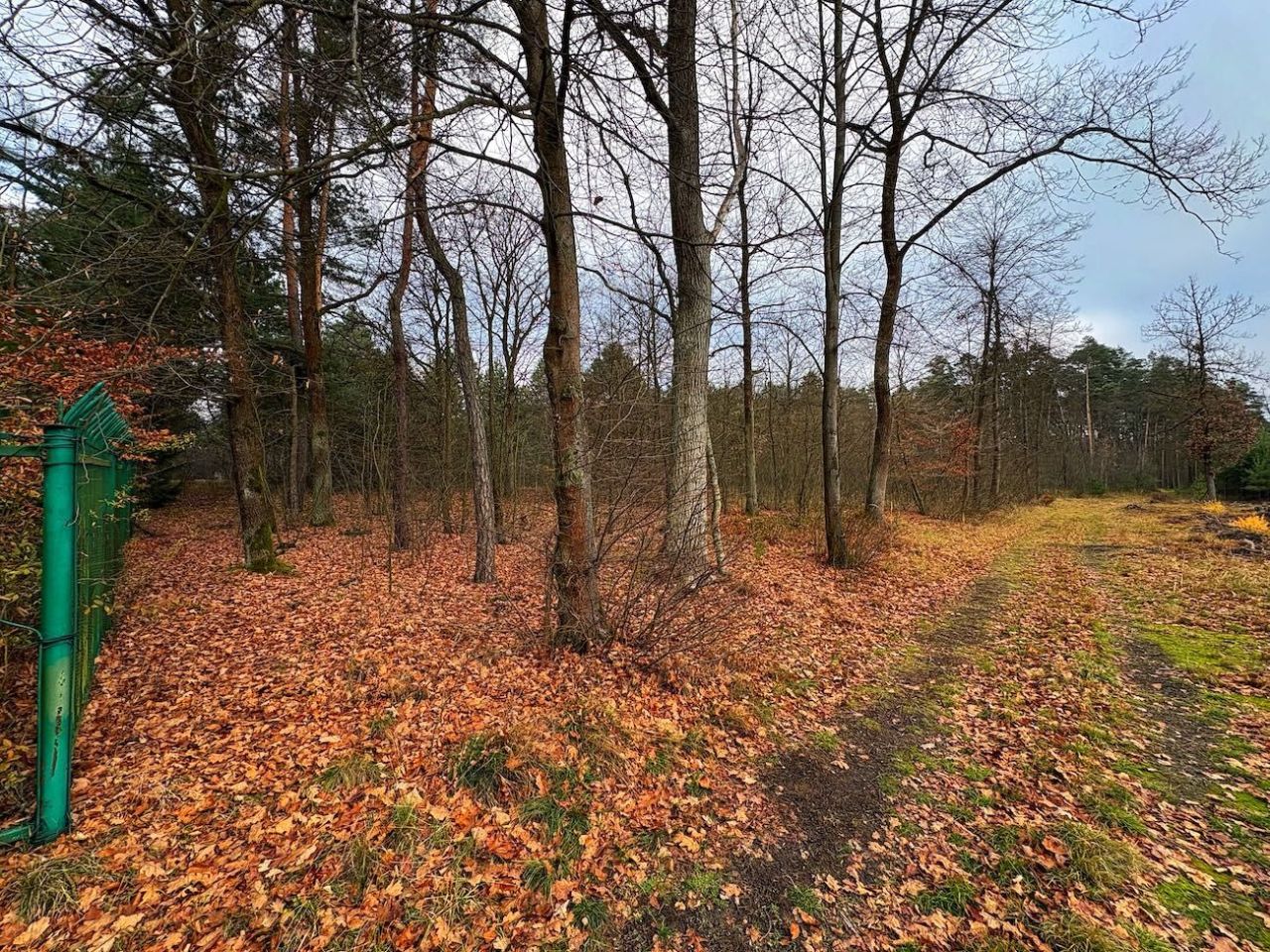 Działka Ruda. Zdjęcie 2