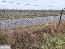 Działka budowlana Jasieniec. Zdjęcie 2