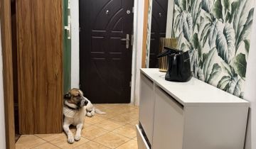 Mieszkanie 2-pokojowe Psarskie