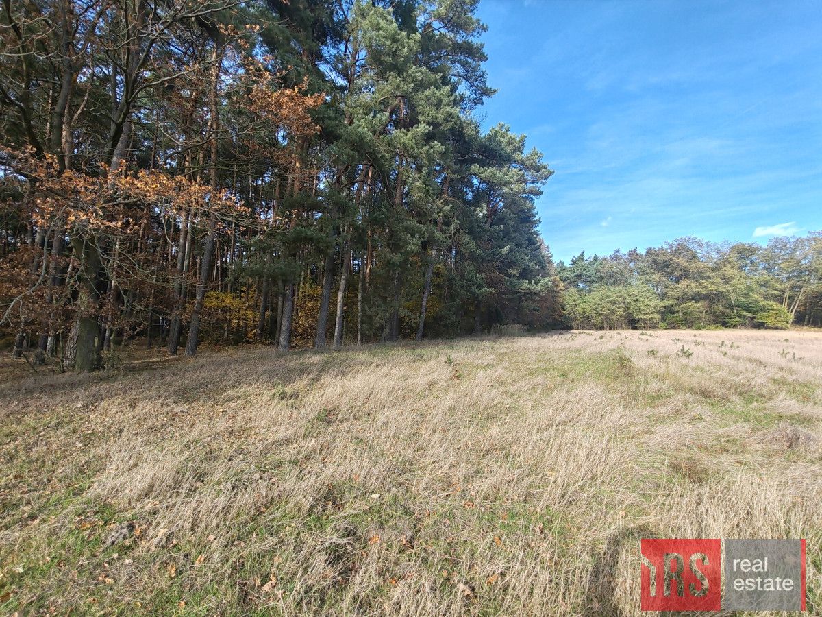 Działka budowlana Dziadowice. Zdjęcie 4