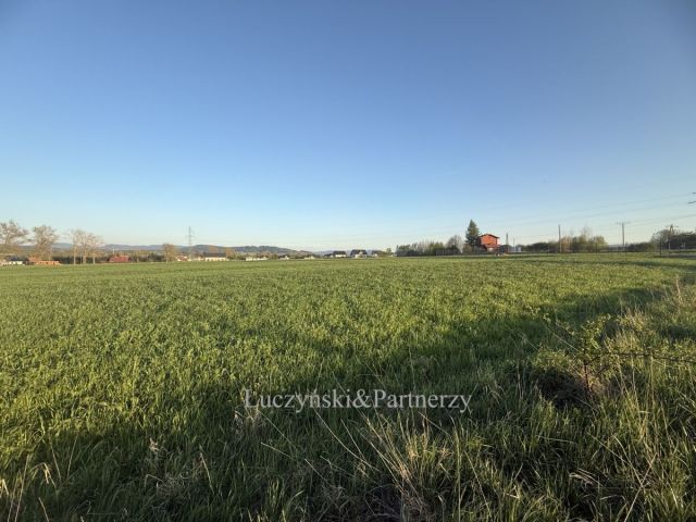 Działka budowlana Czadrów. Zdjęcie 5