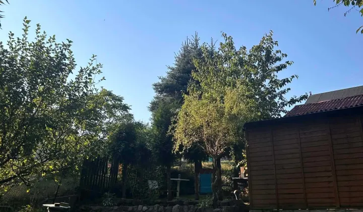 Działka rod Szczecin Podjuchy