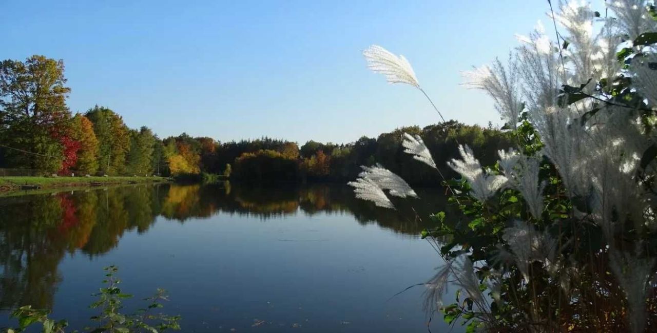 dom wolnostojący Janów Lubelski. Zdjęcie 8
