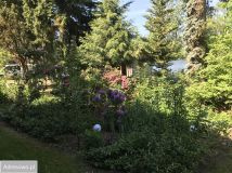 dom, 8 pokoi Kamieniec. Zdjęcie 4