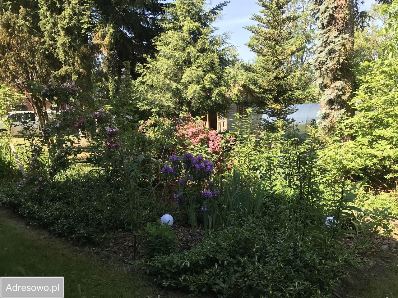 dom, 8 pokoi Kamieniec. Zdjęcie 5