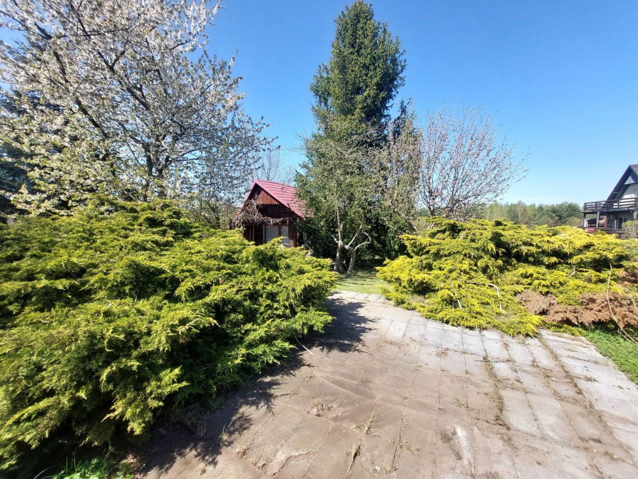 Działka rod Częstochowa Grabówka, ul. Ikara. Zdjęcie 2