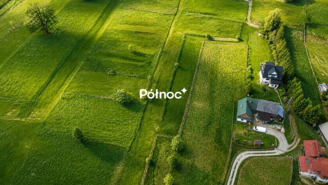 Działka Pieniążkowice. Zdjęcie 4