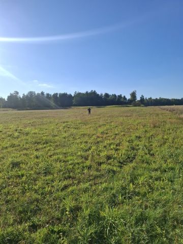 Działka rolna Orzeszki. Zdjęcie 1