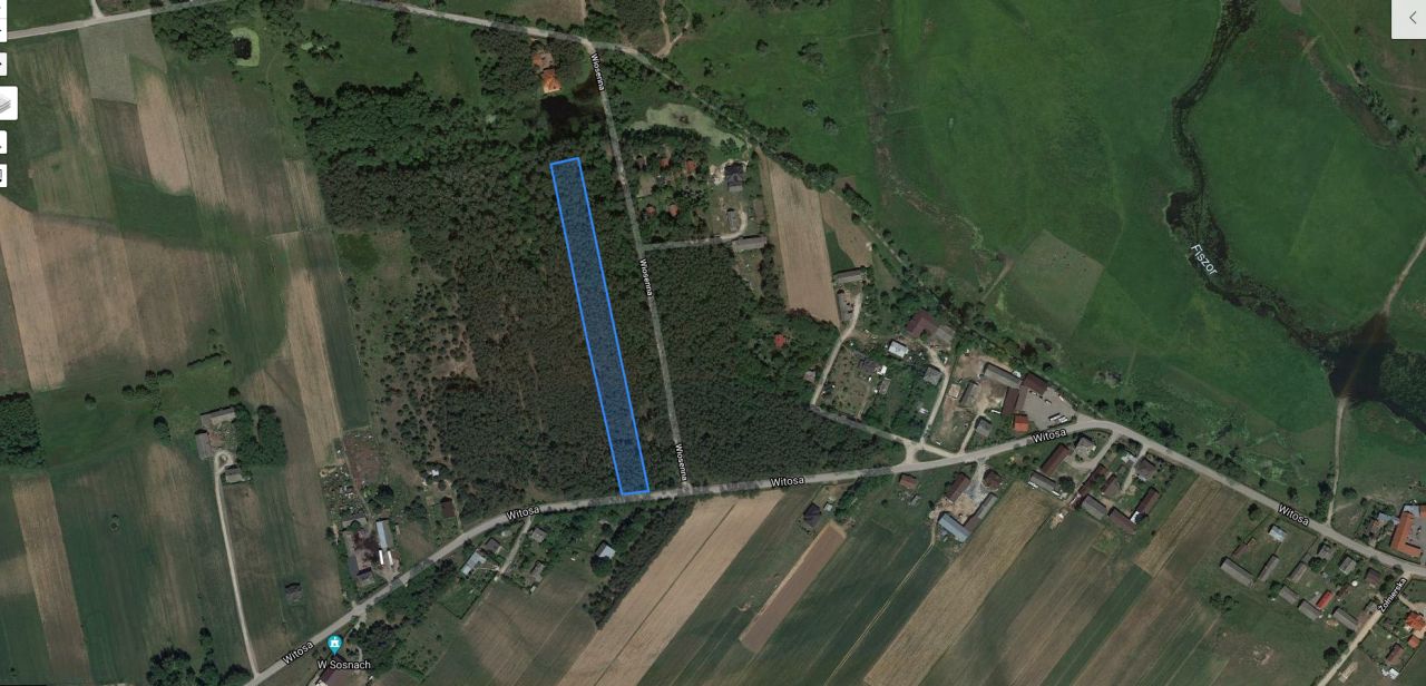 Działka leśna Słopsk, ul. Wincentego Witosa. Zdjęcie 3