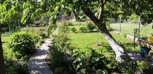 Działka rekreacyjna Szczecin Krzekowo