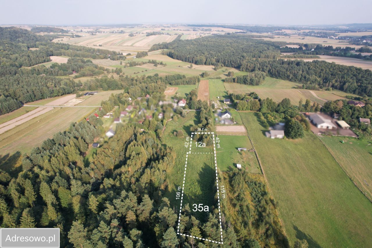 Działka rolno-budowlana Domaniewice. Zdjęcie 4