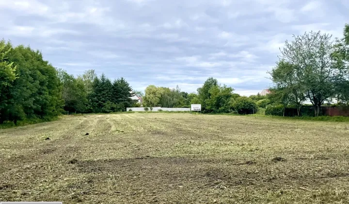 Działka budowlana Suchy Dwór, ul. Lisia