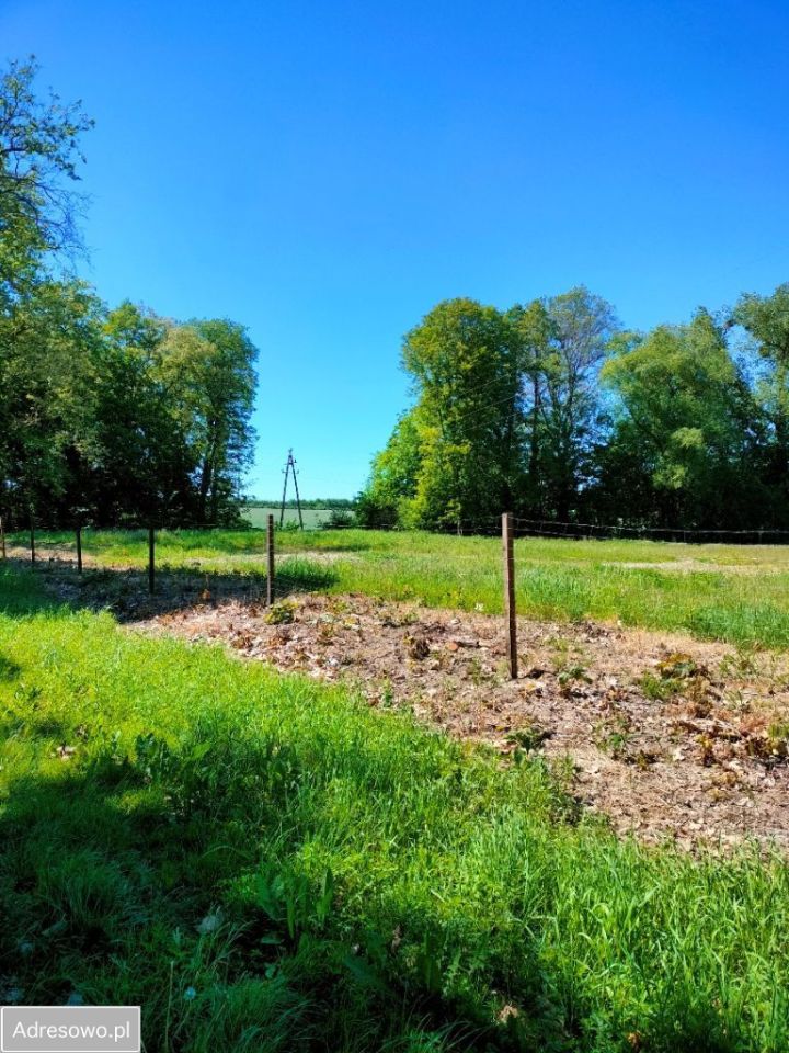 Działka rolno-budowlana Jaszyce. Zdjęcie 5