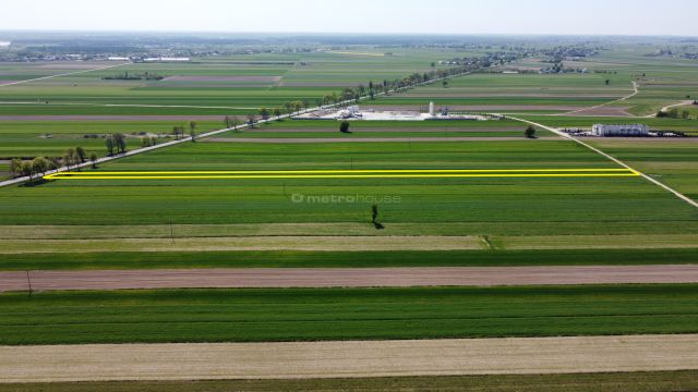 Działka inwestycyjna Rybno. Zdjęcie 3