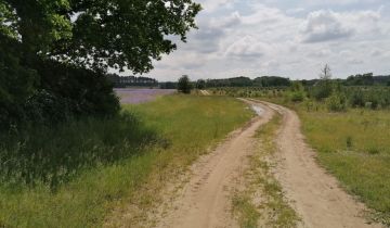 Działka rolna Karczewko, ul. Olchowa