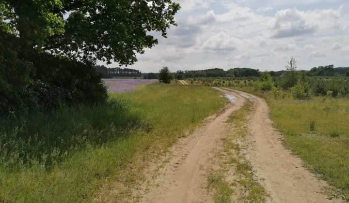 Działka rolna Karczewko, ul. Olchowa