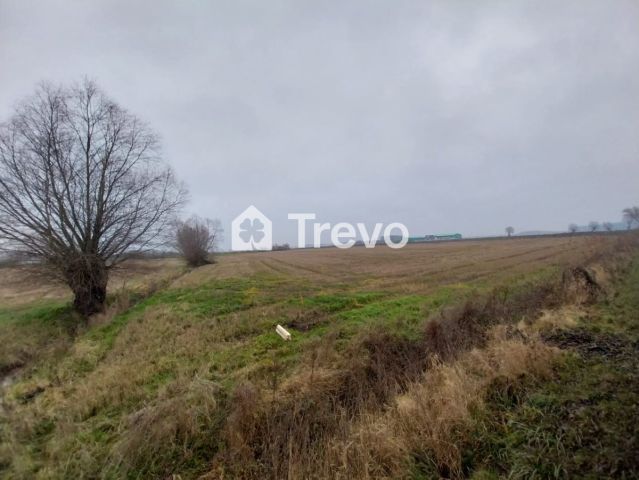 Działka rolna Wocławy, ul. Królowej Bony. Zdjęcie 9