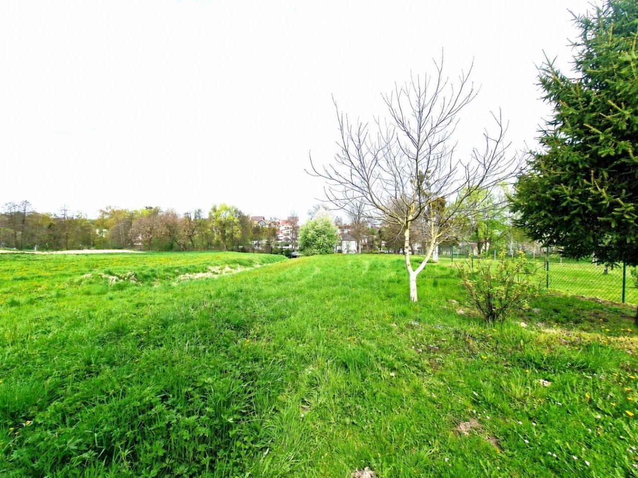 bliźniak Krzyżanowice. Zdjęcie 10
