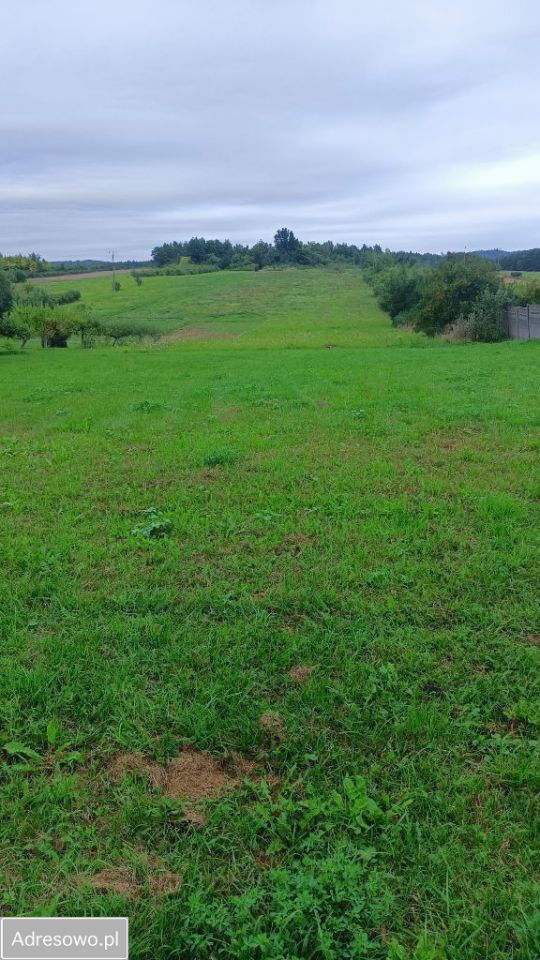 Działka rolno-budowlana Bolechowice. Zdjęcie 2